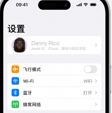 东郊镇appleID维修服务iPhone设置中Apple ID显示为灰色无法使用 