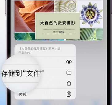 东郊镇apple维修中心分享iPhone文件应用中存储和找到下载文件