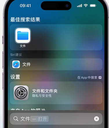 东郊镇apple维修中心分享iPhone文件应用中存储和找到下载文件