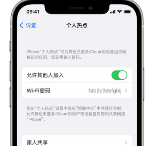 东郊镇apple服务站点分享iPhone上个人热点丢失了怎么办