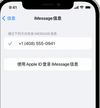 东郊镇apple维修iPhone上无法正常发送iMessage信息