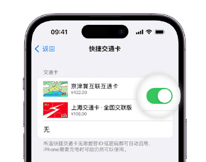 东郊镇apple维修点分享iPhone上更换Apple Pay快捷交通卡手绘卡面 