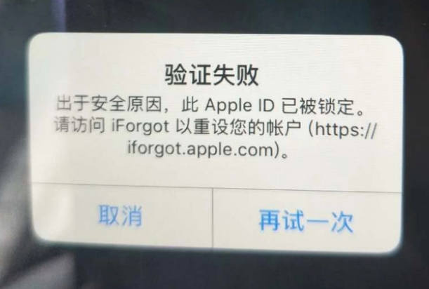 东郊镇iPhone维修分享iPhone上正常登录或使用AppleID怎么办 