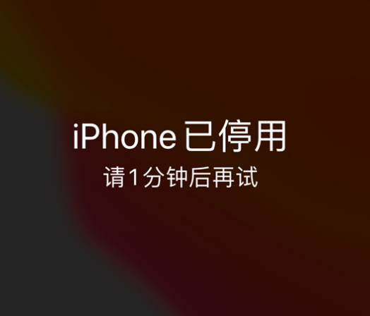 东郊镇苹果手机维修分享:iPhone 显示“不可用”或“已停用”怎么办？还能保留数据吗？ 