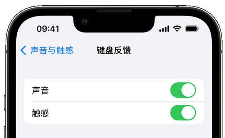 东郊镇苹果手机维修分享iPhone 14触感键盘使用方法 