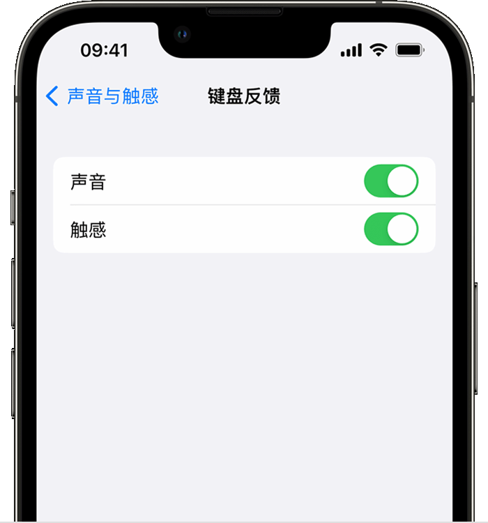 东郊镇苹果14维修店分享如何在 iPhone 14 机型中使用触感键盘 