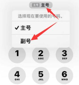 东郊镇苹果14维修店分享iPhone 14 Pro Max使用副卡打电话的方法 