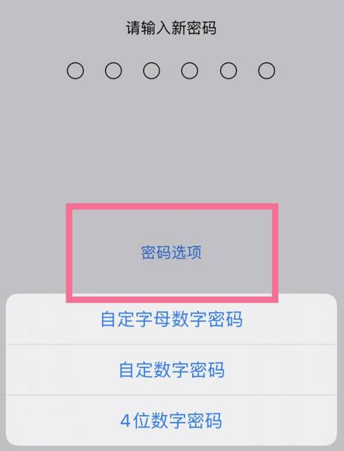 东郊镇苹果14维修分享iPhone 14plus设置密码的方法 