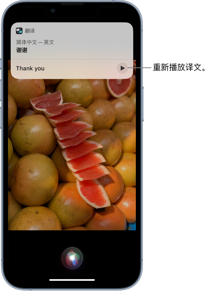 东郊镇苹果14维修分享 iPhone 14 机型中使用 Siri：了解 Siri 能帮你做什么 