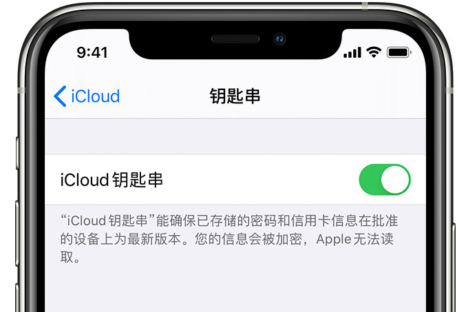 东郊镇苹果手机维修分享在 iPhone 上开启 iCloud 钥匙串之后会储存哪些信息 