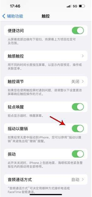 东郊镇苹果手机维修分享iPhone手机如何设置摇一摇删除文字 