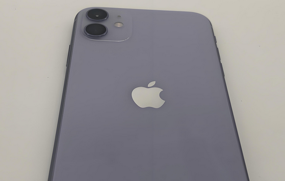 东郊镇苹果11系统维修分享iPhone11手机系统崩溃无法开机如何解决